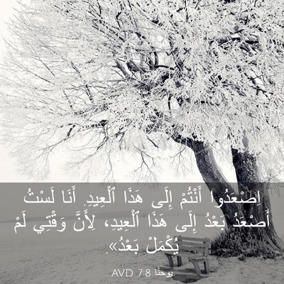 Picture 03 - يوحنَّا 7:8 AVD - اِصْعَدُوا أَنْتُمْ إِلَى - Bible Verse Picture