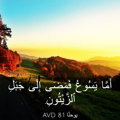 Picture 03 - يوحنَّا 8:1 AVD - أَمَّا يَسُوعُ فَمَضَى - Bible Verse Picture