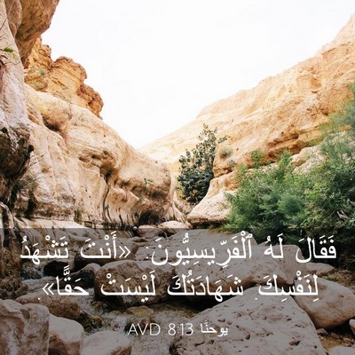 Picture 03 - يوحنَّا 8:13 AVD - فَقَالَ لَهُ - Bible Verse Picture