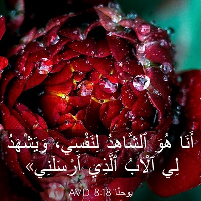 Picture 03 - يوحنَّا 8:18 AVD - أَنَا هُوَ ٱلشَّاهِدُ - Bible Verse Picture