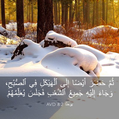 Picture 03 - يوحنَّا 8:2 AVD - ثُمَّ حَضَرَ أَيْضًا إِلَى - Bible Verse Picture