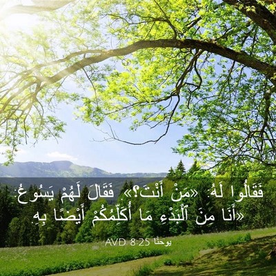 Picture 03 - يوحنَّا 8:25 AVD - فَقَالُوا لَهُ: «مَنْ - Bible Verse Picture