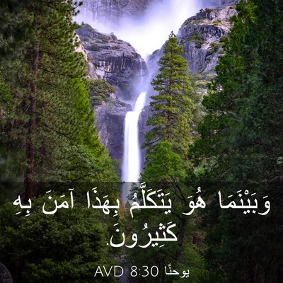 Picture 03 - يوحنَّا 8:30 AVD - وَبَيْنَمَا هُوَ - Bible Verse Picture