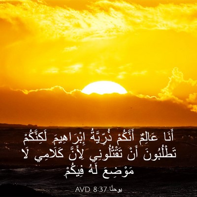 Picture 03 - يوحنَّا 8:37 AVD - أَنَا عَالِمٌ أَنَّكُمْ - Bible Verse Picture