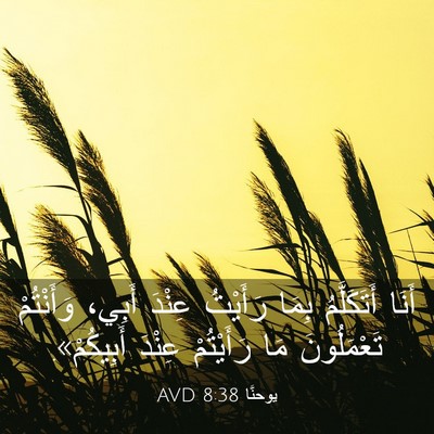 Picture 03 - يوحنَّا 8:38 AVD - أَنَا أَتَكَلَّمُ بِمَا - Bible Verse Picture