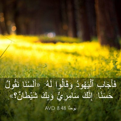 Picture 03 - يوحنَّا 8:48 AVD - فَأَجَاب ٱلْيَهُودُ - Bible Verse Picture