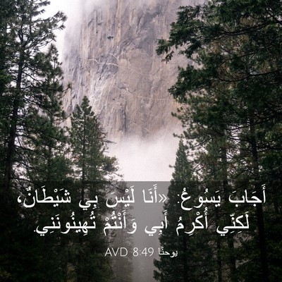 Picture 03 - يوحنَّا 8:49 AVD - أَجَابَ يَسُوعُ: «أَنَا - Bible Verse Picture