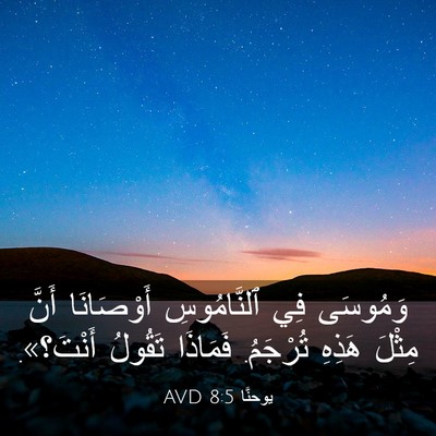 Picture 03 - يوحنَّا 8:5 AVD - وَمُوسَى فِي ٱلنَّامُوسِ - Bible Verse Picture