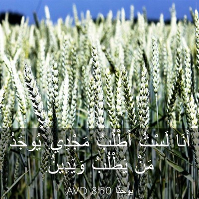 Picture 03 - يوحنَّا 8:50 AVD - أَنَا لَسْتُ أَطْلُبُ - Bible Verse Picture