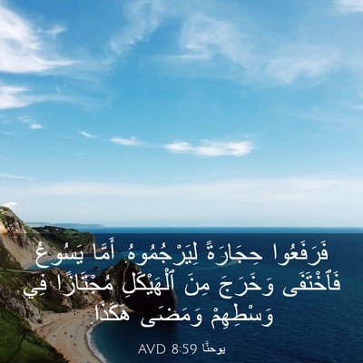 Picture 03 - يوحنَّا 8:59 AVD - فَرَفَعُوا حِجَارَةً - Bible Verse Picture