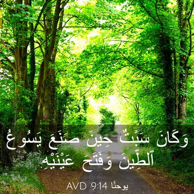 Picture 03 - يوحنَّا 9:14 AVD - وَكَانَ سَبْتٌ حِينَ - Bible Verse Picture