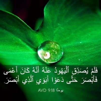 Picture 03 - يوحنَّا 9:18 AVD - فَلَمْ يُصَدِّقِ - Bible Verse Picture