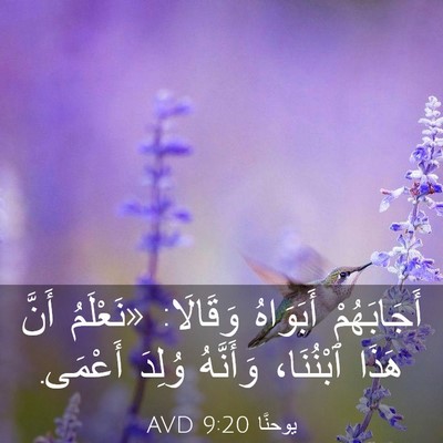 Picture 03 - يوحنَّا 9:20 AVD - أَجَابَهُمْ أَبَوَاهُ - Bible Verse Picture