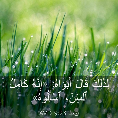 Picture 03 - يوحنَّا 9:23 AVD - لِذَلِكَ قَالَ أَبَوَاهُ: - Bible Verse Picture