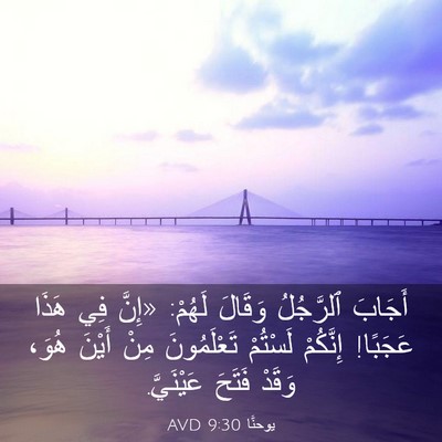 Picture 03 - يوحنَّا 9:30 AVD - أَجَابَ ٱلرَّجُلُ وَقَالَ - Bible Verse Picture
