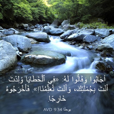Picture 03 - يوحنَّا 9:34 AVD - أجَابُوا وَقَالُوا لَهُ: - Bible Verse Picture