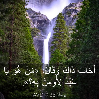 Picture 03 - يوحنَّا 9:36 AVD - أَجَابَ ذَاكَ وَقَالَ: - Bible Verse Picture