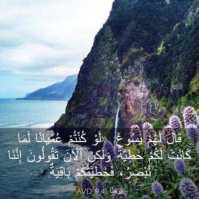 Picture 03 - يوحنَّا 9:41 AVD - قَالَ لَهُمْ يَسُوعُ: - Bible Verse Picture