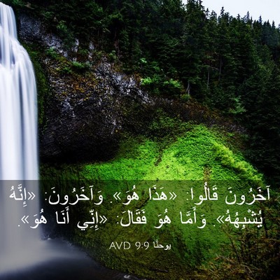 Picture 03 - يوحنَّا 9:9 AVD - آخَرُونَ قَالُوا: «هَذَا - Bible Verse Picture