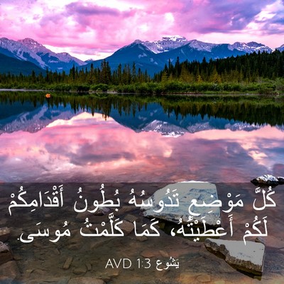 Picture 03 - يَشُوع 1:3 AVD - كُلَّ مَوْضِعٍ تَدُوسُهُ - Bible Verse Picture
