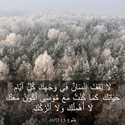 Picture 03 - يَشُوع 1:5 AVD - لَا يَقِفُ إِنْسَانٌ فِي - Bible Verse Picture
