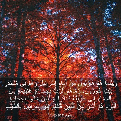 Picture 03 - يَشُوع 10:11 AVD - وَبَيْنَمَا هُمْ - Bible Verse Picture