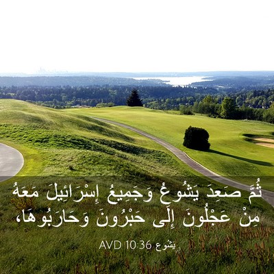 Picture 03 - يَشُوع 10:36 AVD - ثُمَّ صَعِدَ يَشُوعُ - Bible Verse Picture