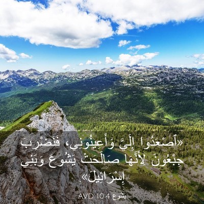 Picture 03 - يَشُوع 10:4 AVD - «ٱصْعَدُوا إِلَيَّ - Bible Verse Picture