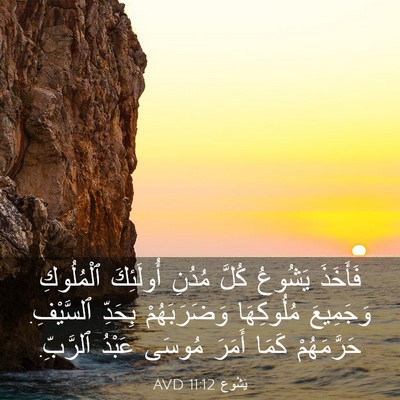 Picture 03 - يَشُوع 11:12 AVD - فَأَخَذَ يَشُوعُ كُلَّ - Bible Verse Picture
