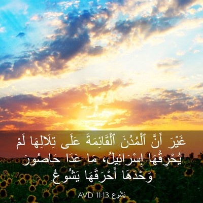 Picture 03 - يَشُوع 11:13 AVD - غَيْرَ أَنَّ ٱلْمُدُنَ - Bible Verse Picture