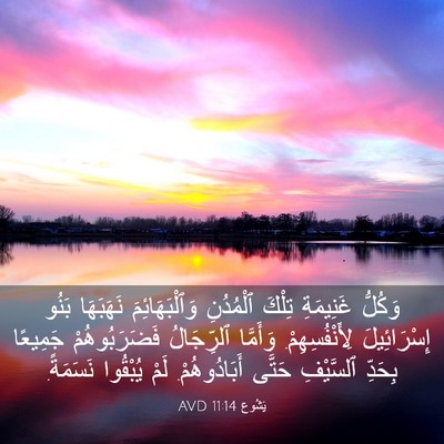 Picture 03 - يَشُوع 11:14 AVD - وَكُلُّ غَنِيمَةِ تِلْكَ - Bible Verse Picture