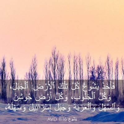 Picture 03 - يَشُوع 11:16 AVD - فَأَخَذَ يَشُوعُ كُلَّ - Bible Verse Picture