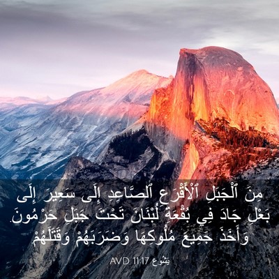 Picture 03 - يَشُوع 11:17 AVD - مِنَ ٱلْجَبَلِ - Bible Verse Picture