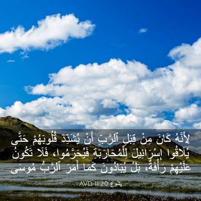Picture 03 - يَشُوع 11:20 AVD - لِأَنَّهُ كَانَ مِنْ - Bible Verse Picture
