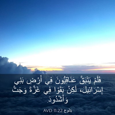 Picture 03 - يَشُوع 11:22 AVD - فَلَمْ يَتَبَقَّ - Bible Verse Picture