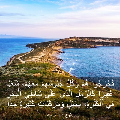 Picture 03 - يَشُوع 11:4 AVD - فَخَرَجُوا هُمْ وَكُلُّ - Bible Verse Picture