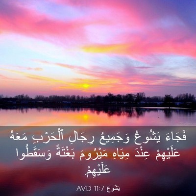 Picture 03 - يَشُوع 11:7 AVD - فَجَاءَ يَشُوعُ وَجَمِيعُ - Bible Verse Picture