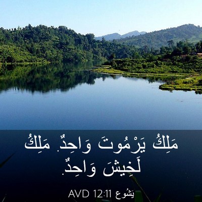 Picture 03 - يَشُوع 12:11 AVD - مَلِكُ يَرْمُوتَ وَاحِدٌ. - Bible Verse Picture