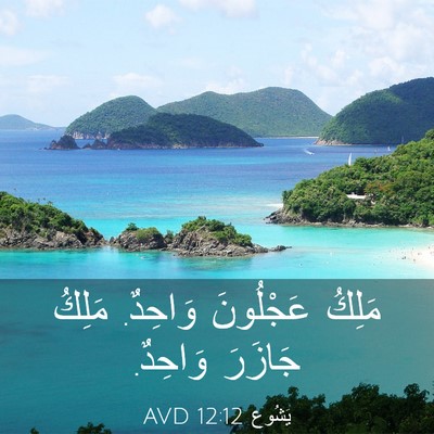 Picture 03 - يَشُوع 12:12 AVD - مَلِكُ عَجْلُونَ وَاحِدٌ. - Bible Verse Picture