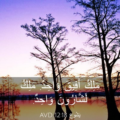 Picture 03 - يَشُوع 12:18 AVD - مَلِكُ أَفِيقَ وَاحِدٌ. - Bible Verse Picture