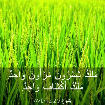 Picture 03 - يَشُوع 12:20 AVD - مَلِكُ شِمْرُونَ - Bible Verse Picture