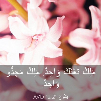 Picture 03 - يَشُوع 12:21 AVD - مَلِكُ تَعْنَكَ وَاحِدٌ. - Bible Verse Picture