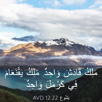 Picture 03 - يَشُوع 12:22 AVD - مَلِكُ قَادَشَ وَاحِدٌ. - Bible Verse Picture