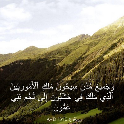 Picture 03 - يَشُوع 13:10 AVD - وَجَمِيعَ مُدُنِ سِيحُونَ - Bible Verse Picture