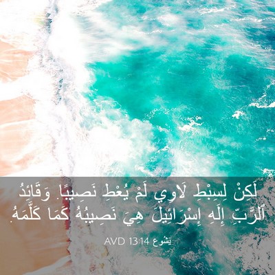Picture 03 - يَشُوع 13:14 AVD - لَكِنْ لِسِبْطِ لَاوِي - Bible Verse Picture