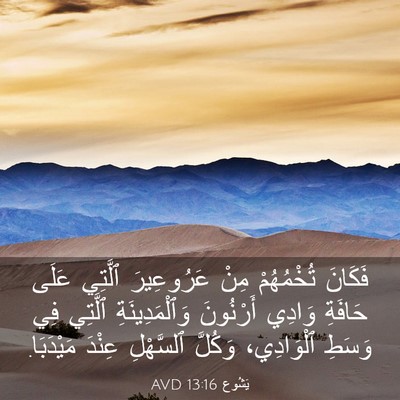 Picture 03 - يَشُوع 13:16 AVD - فَكَانَ تُخْمُهُمْ مِنْ - Bible Verse Picture