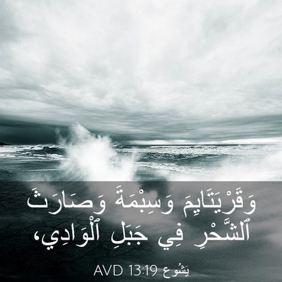 Picture 03 - يَشُوع 13:19 AVD - وَقَرْيَتَايِمَ - Bible Verse Picture