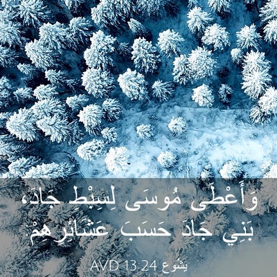 Picture 03 - يَشُوع 13:24 AVD - وَأَعْطَى مُوسَى لِسِبْطِ - Bible Verse Picture