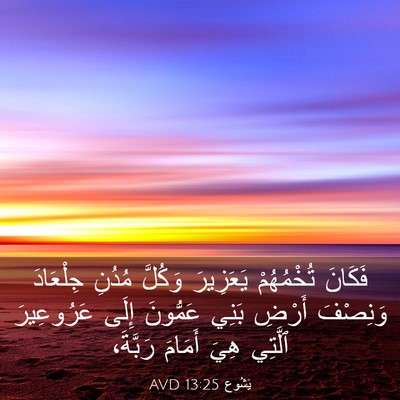 Picture 03 - يَشُوع 13:25 AVD - فَكَانَ تُخْمُهُمْ - Bible Verse Picture
