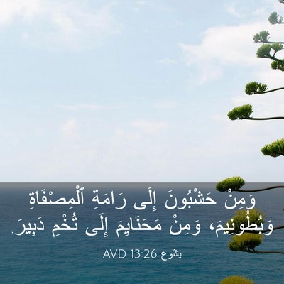 Picture 03 - يَشُوع 13:26 AVD - وَمِنْ حَشْبُونَ إِلَى - Bible Verse Picture